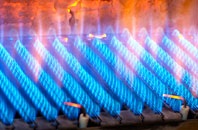 Faichem gas fired boilers